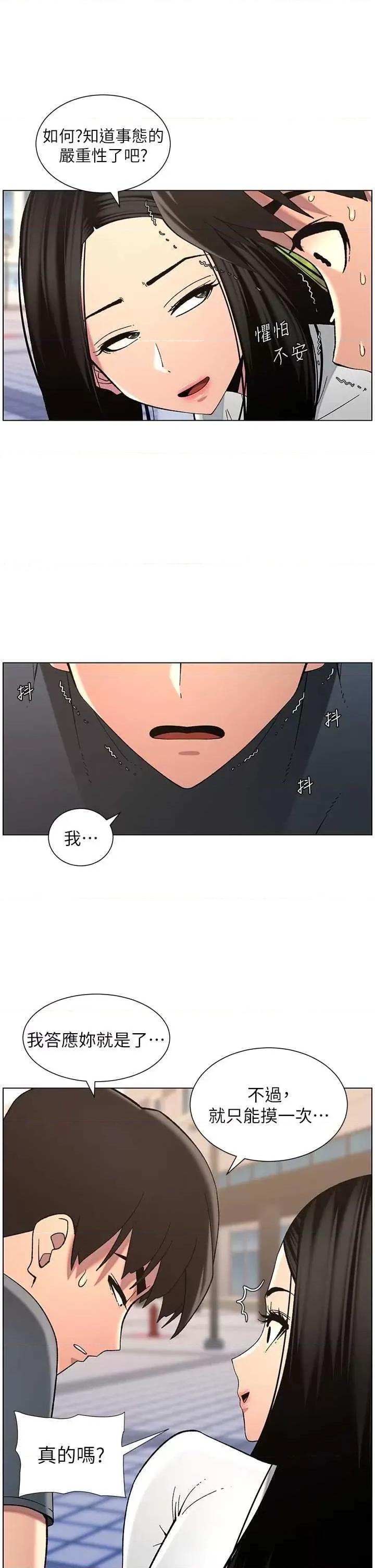 兄妹的秘密授课 兄妹的秘密授课 41 第20页