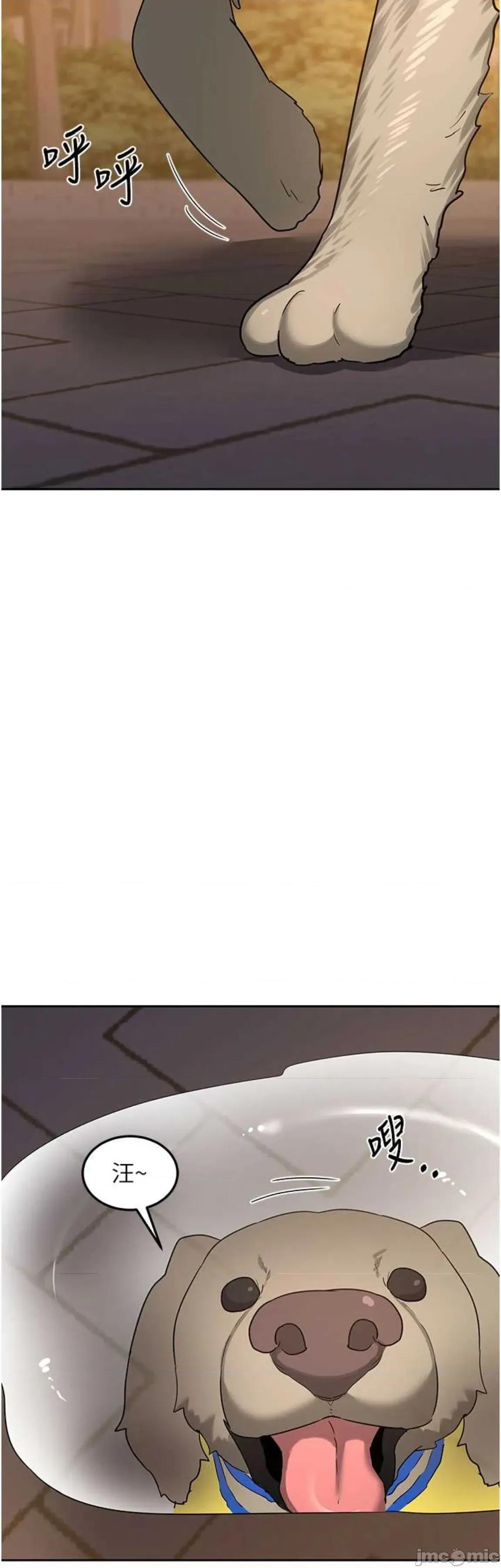 交換計畫 熟女交換計畫 28 第2页