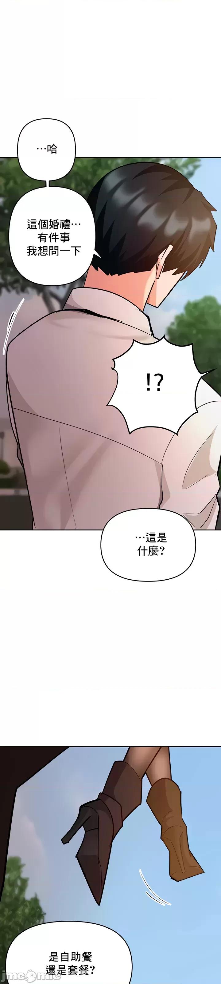 軟件是無效 催眠軟件是無效的 39 第49页