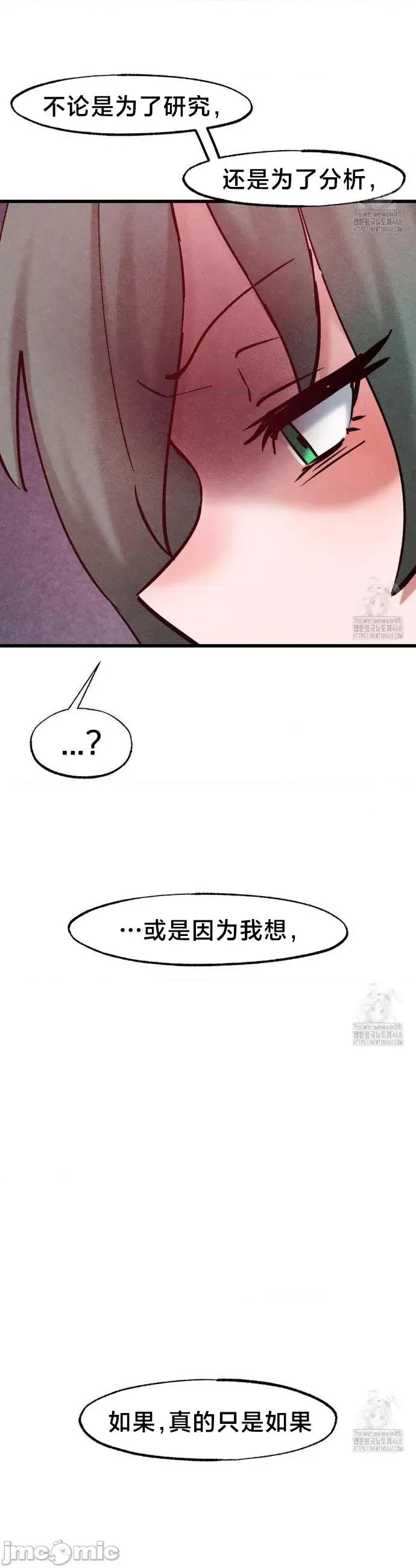 世界性文化研究所 世界性文化研究所 36 第13页