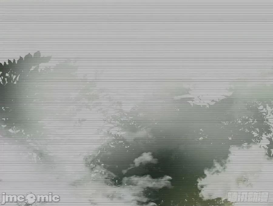 我为邪帝 我为邪帝_化神剑修与称号再现 第76页
