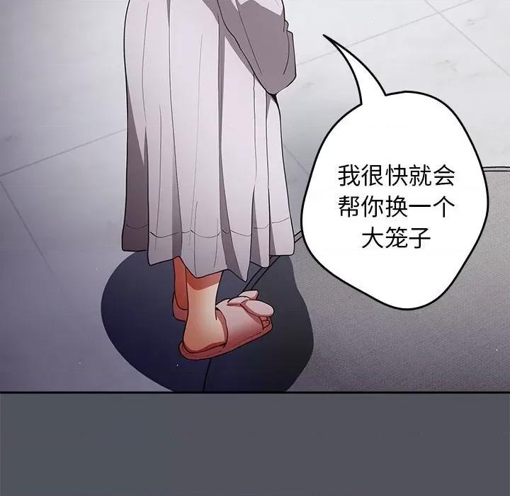 游戏不能这样玩 游戏规则我来定-游戏规则我来定 第55话 第14页