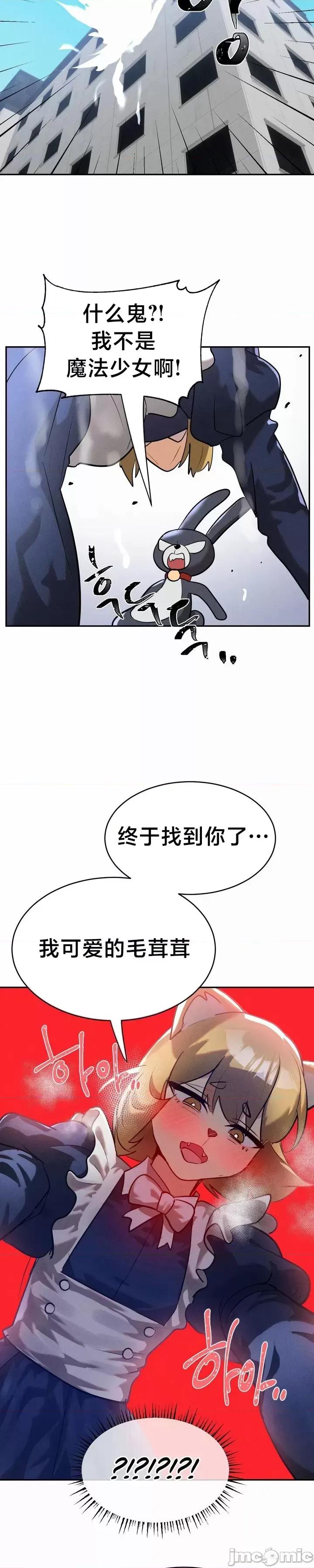 魔法少女服务 魔法少女服务 23 第27页
