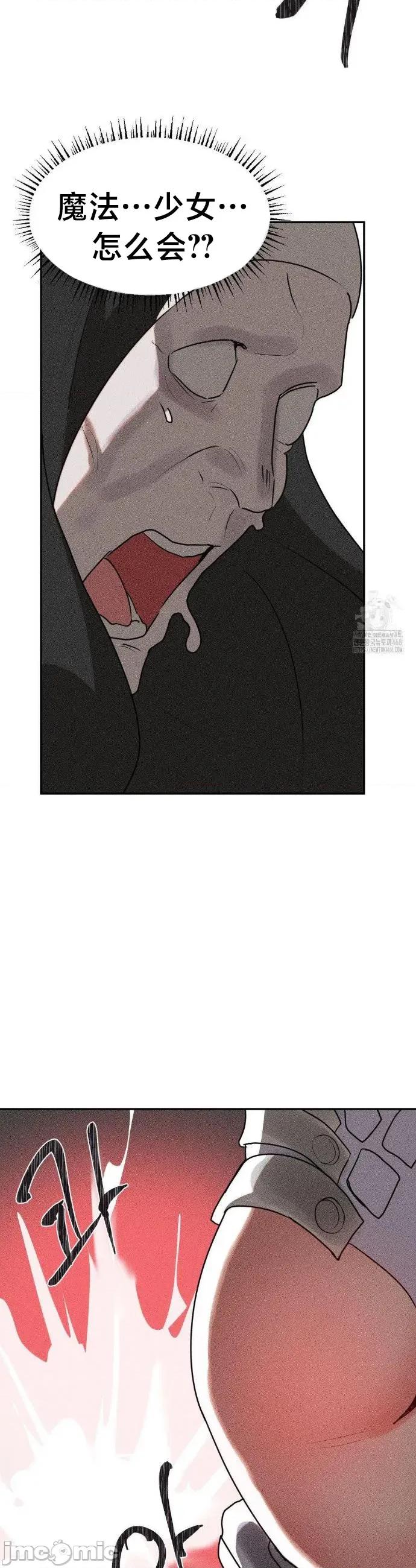 魔法少女服务 魔法少女服务 29 第26页