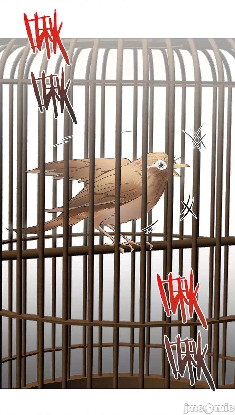 妹子太多，隻好飛升了 妹子太多，隻好飛升了_075_籠中鳥·世間人 第63页