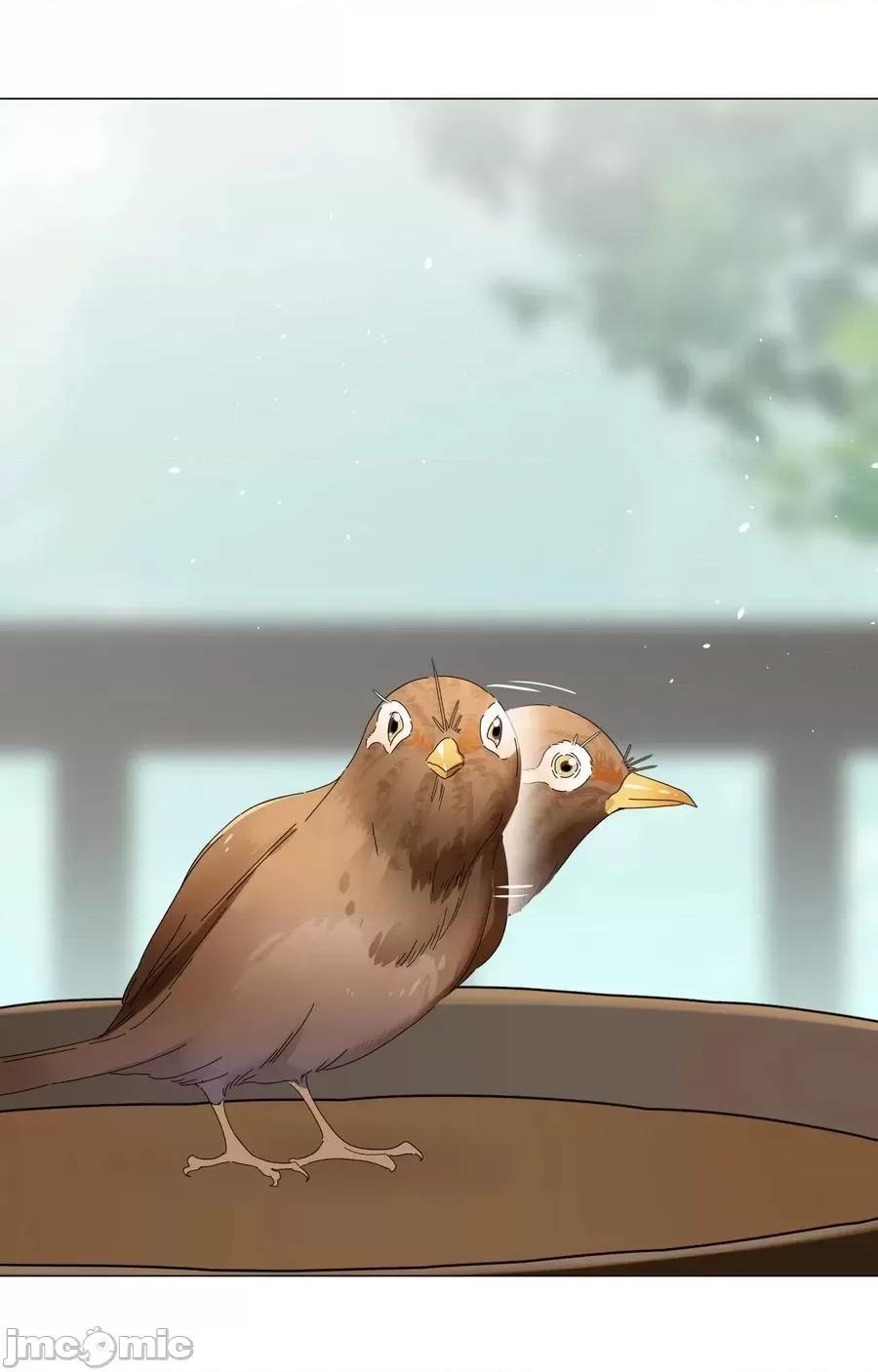 妹子太多，隻好飛升了 妹子太多，隻好飛升了_075_籠中鳥·世間人 第106页