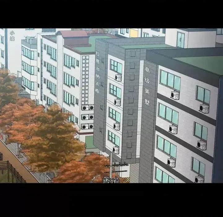 社区重建协会 敲开你的门81 敲开你的门 第13页
