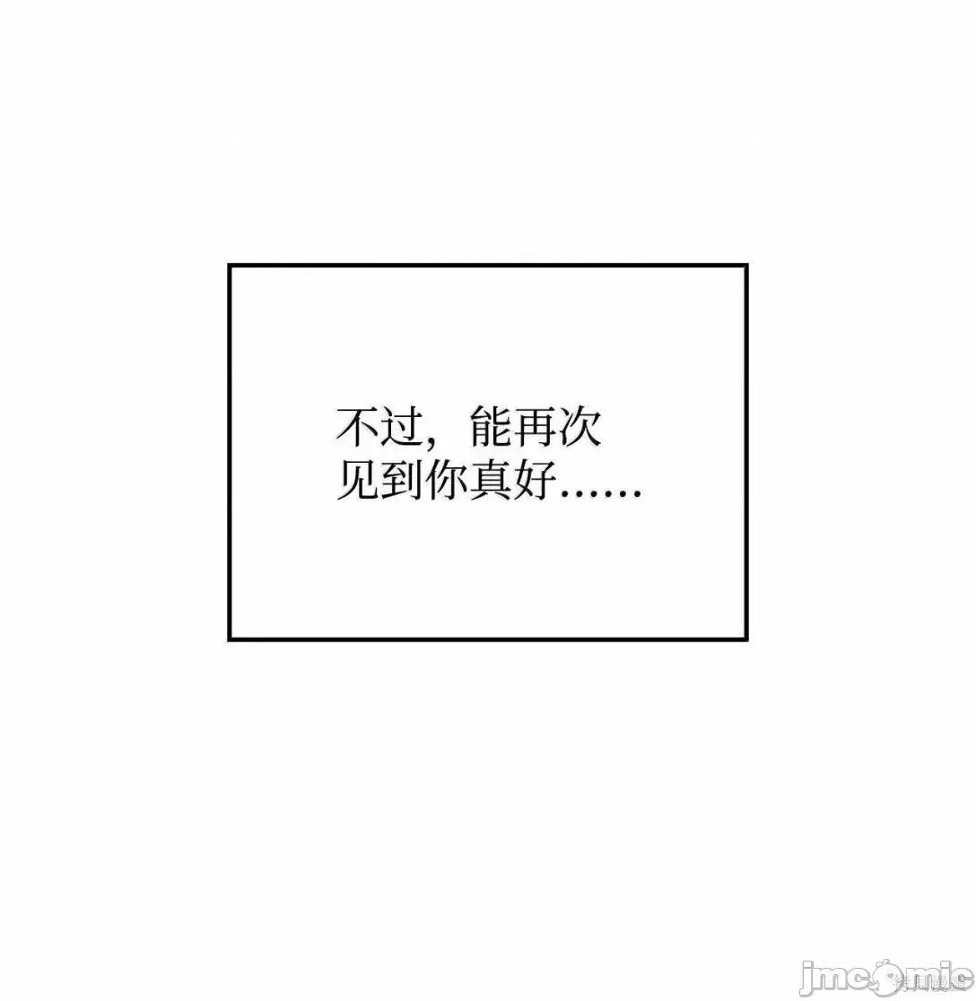 铁血剑家猎犬的回归 106话 第96页