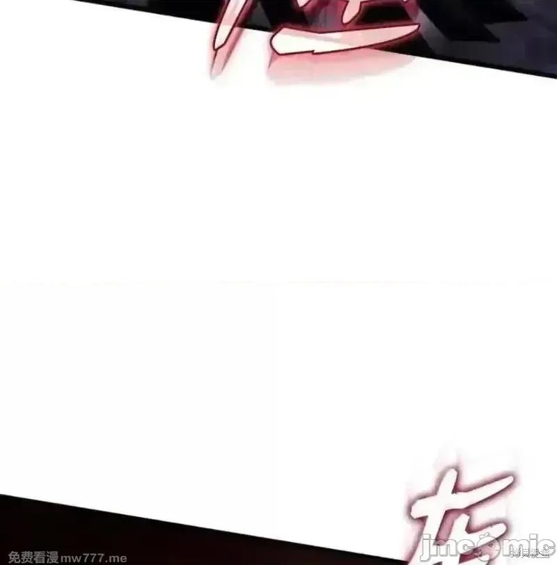 铁血剑家猎犬的回归 107话 第162页