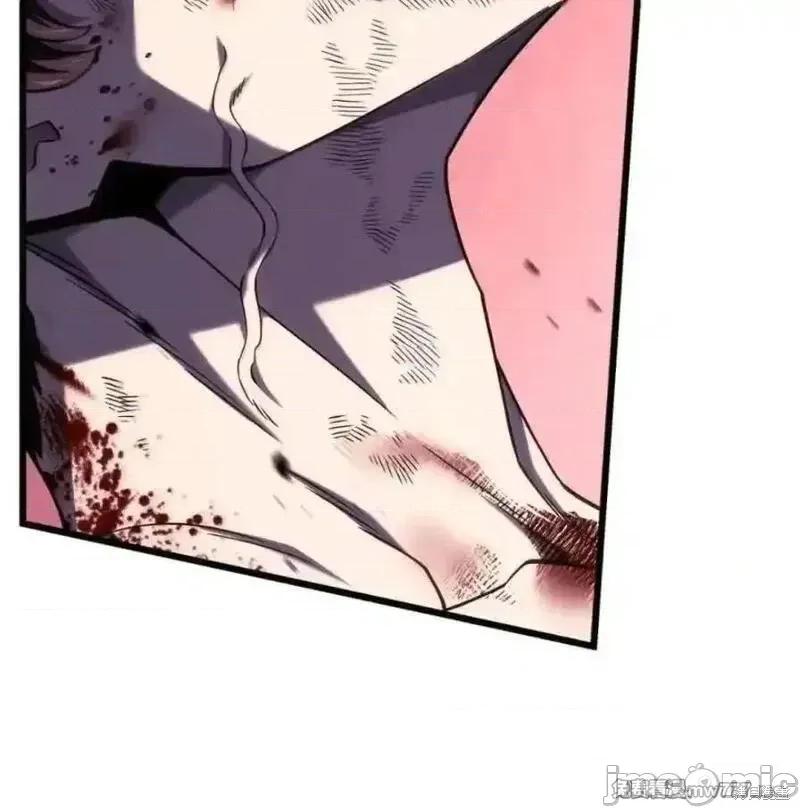 铁血剑家猎犬的回归 108话 第100页