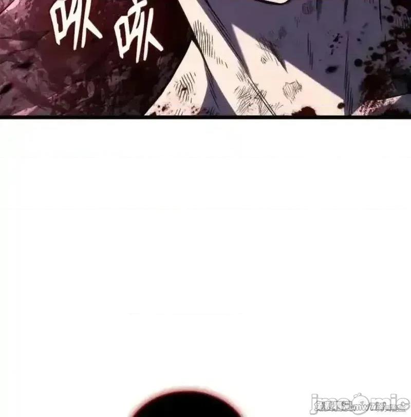 铁血剑家猎犬的回归 108话 第148页