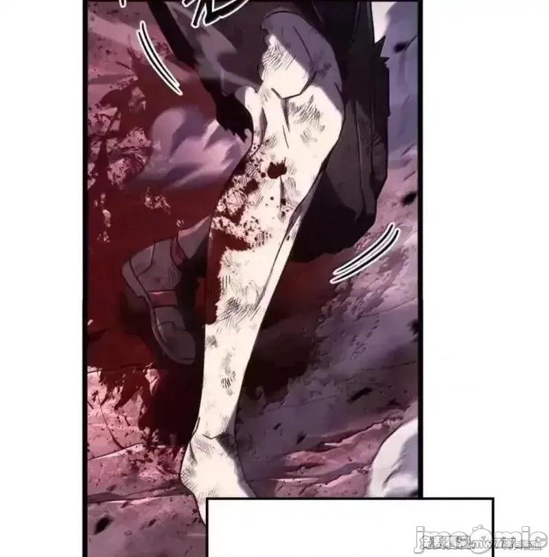 铁血剑家猎犬的回归 108话 第159页