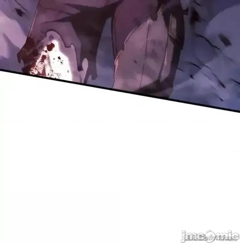 铁血剑家猎犬的回归 108话 第167页