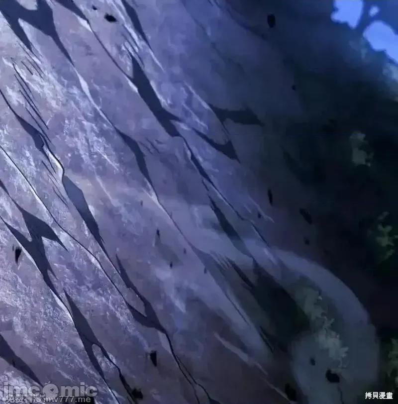 铁血剑家猎犬的回归 109话 第79页