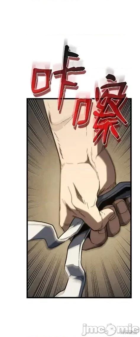 铁血剑家猎犬的回归 115话 第95页