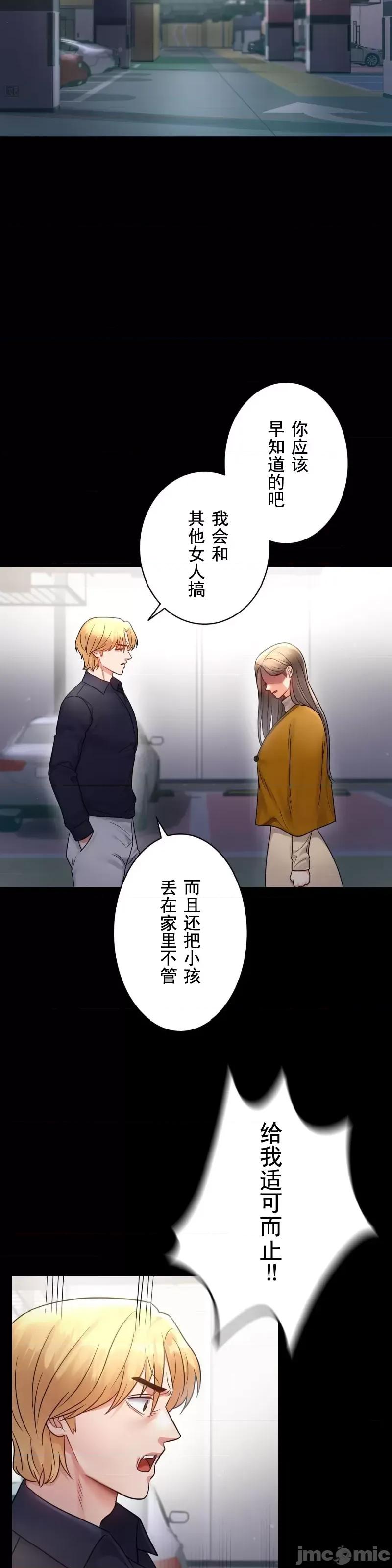 完美妻子的背叛 婚外情概率 73 第19页