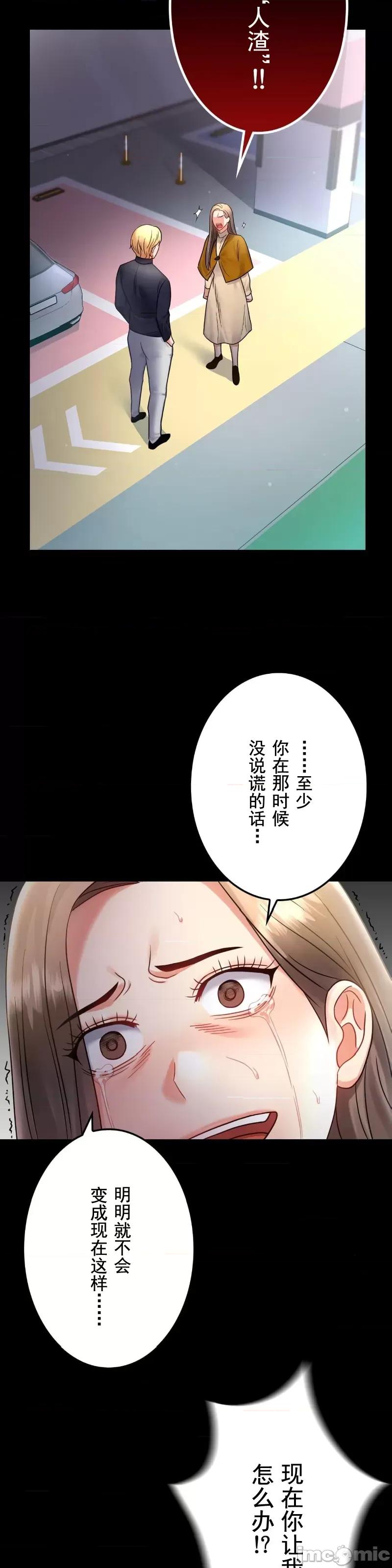 完美妻子的背叛 婚外情概率 73 第23页