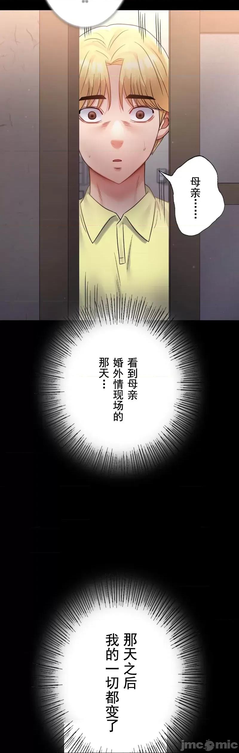 完美妻子的背叛 婚外情概率 73 第30页