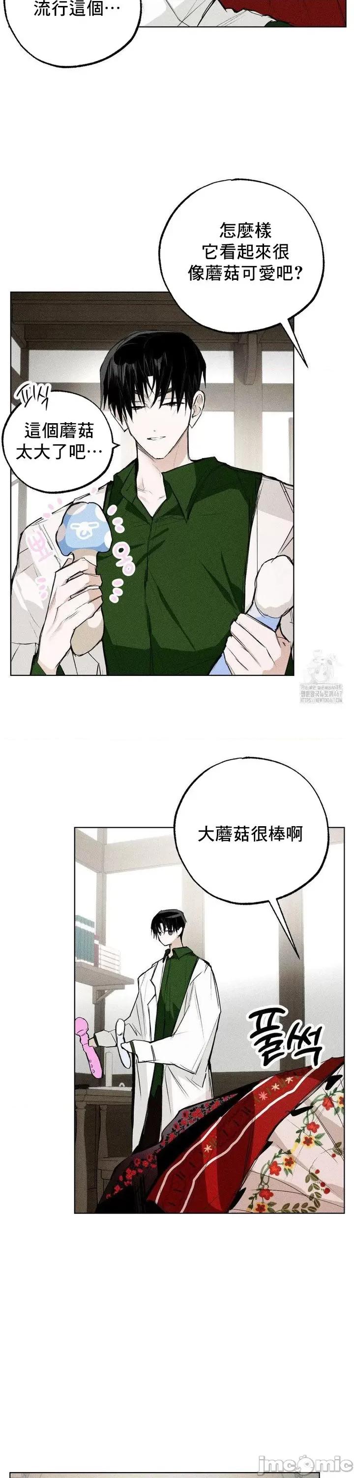 换装的浪漫 换装的浪漫14 第14页