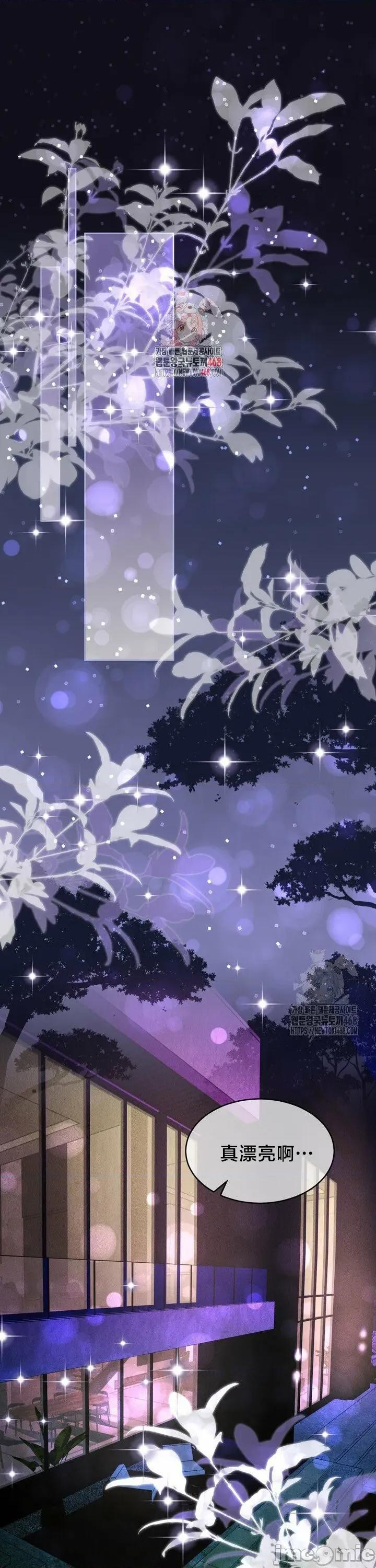 契约千日的妻子 千日的新娘 144 第1页