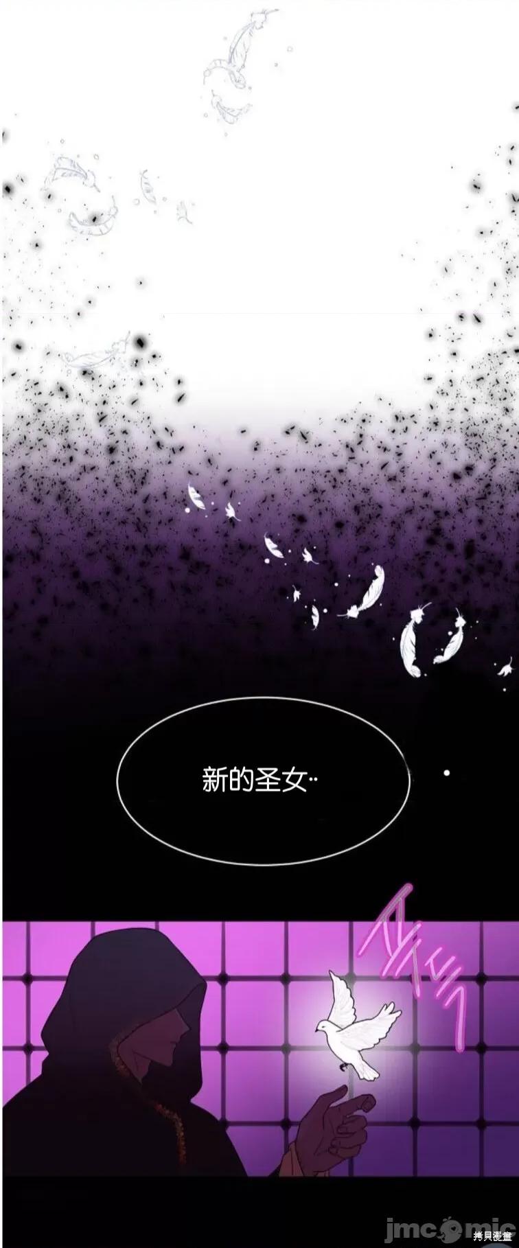 圣女的秘密之夜 圣女的秘密之夜 第45页