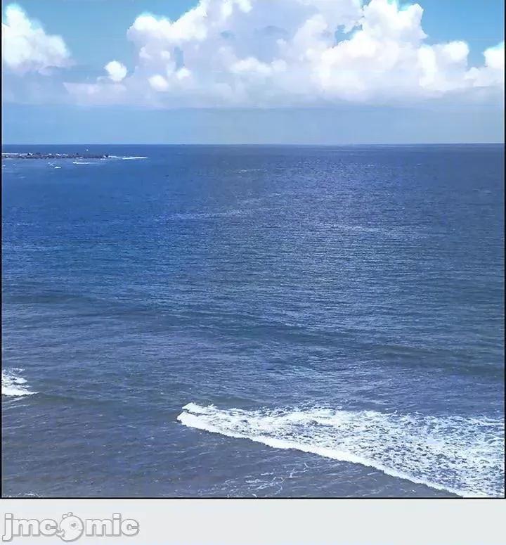 纵夏夜之梦 纵夏夜之梦10 第12页