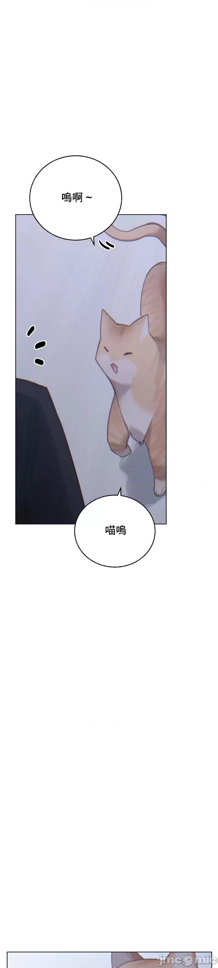 冷淡?热情！ 冷淡 热情