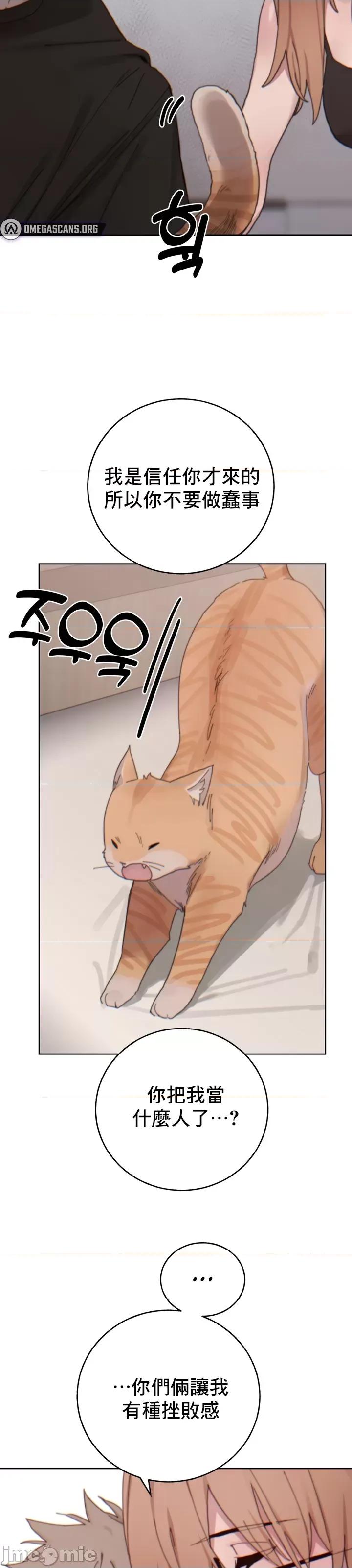 冷淡?热情！ 冷淡热情20 第37页