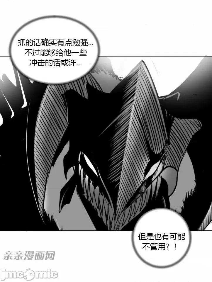 新世界之魔物猎手 新世界之魔物猎手-第8话 第44页