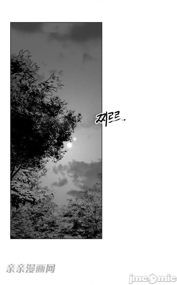 新世界之魔物猎手 新世界之魔物猎手-第13话 第52页