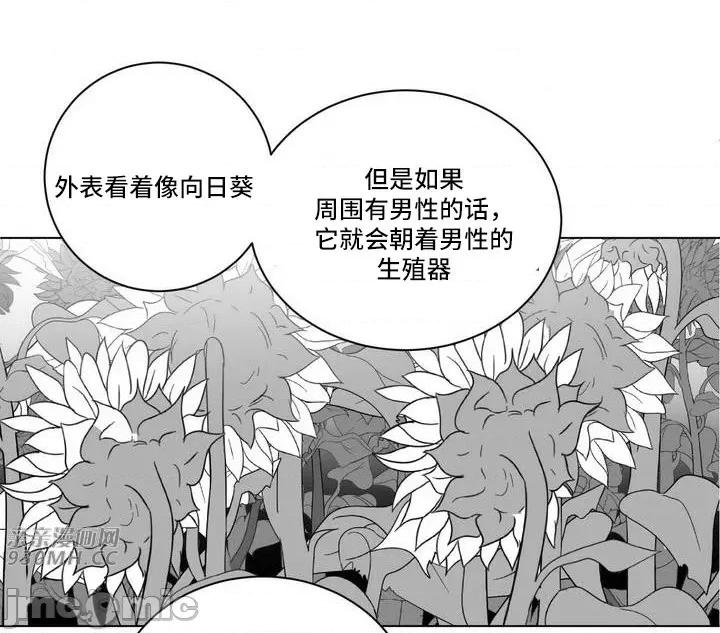新世界之魔物猎手 新世界之魔物猎手-第54话 第72页