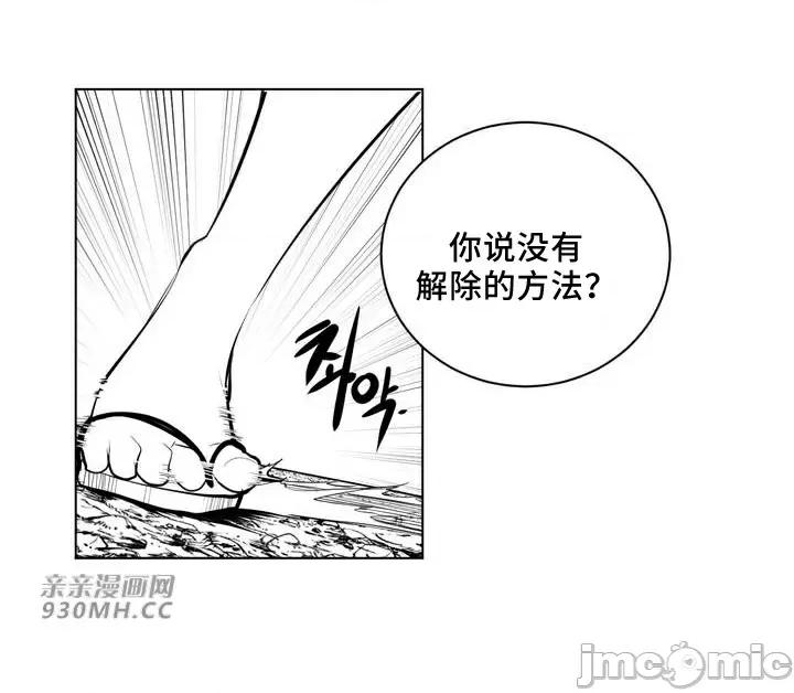 新世界之魔物猎手 新世界之魔物猎手-第64话 第61页