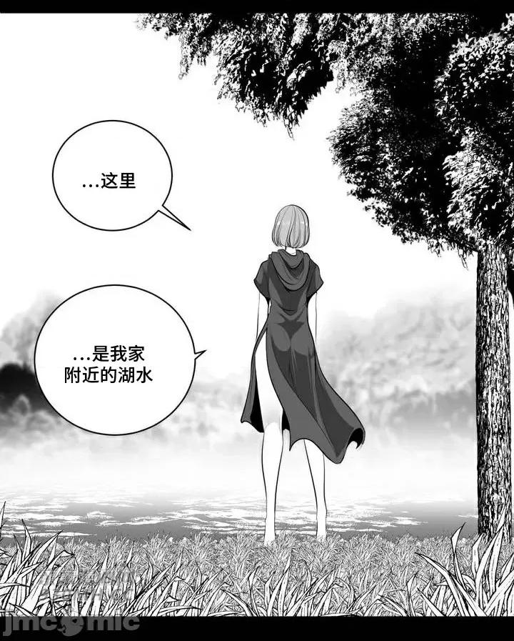新世界之魔物猎手 新世界之魔物猎手-第73话 第53页