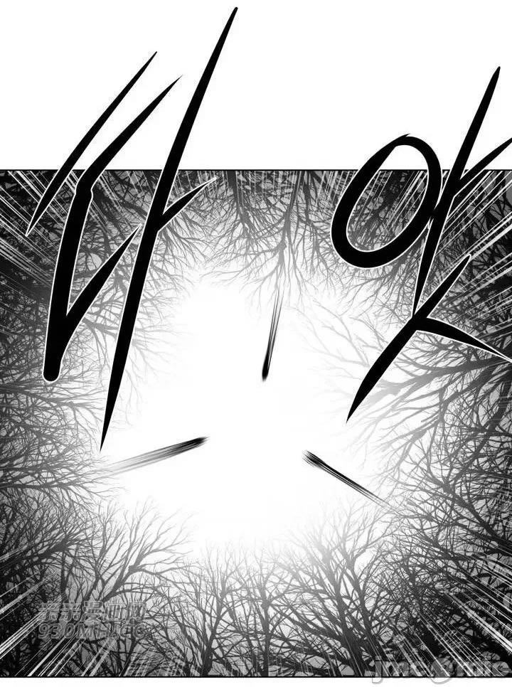 新世界之魔物猎手 新世界之魔物猎手-第78话 第43页