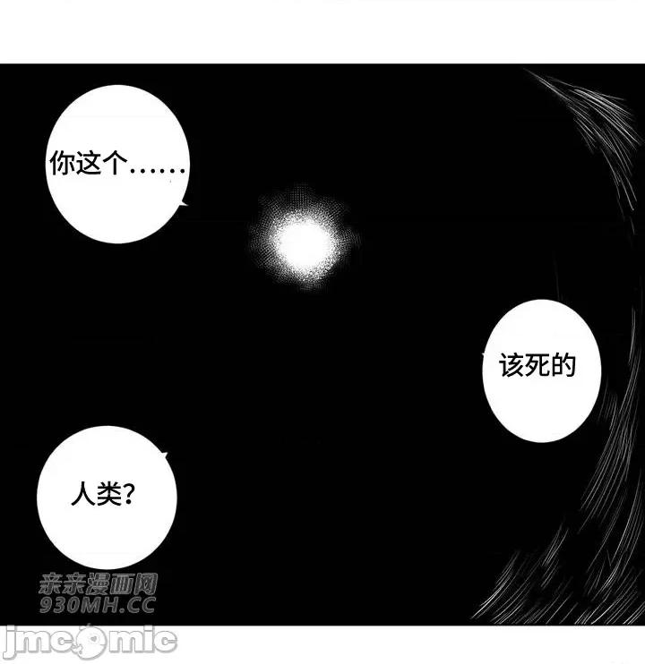 新世界之魔物猎手 新世界之魔物猎手-第85话 第118页