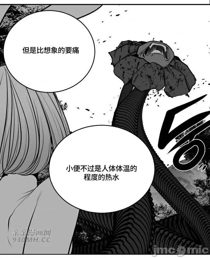 新世界之魔物猎手 新世界之魔物猎手-第94话 第19页