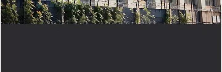 进击的巨根 进击的巨根9 第4页