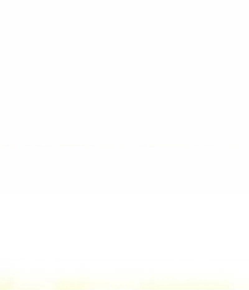 让人火大的她 我的女王-14 我的女王 第97页