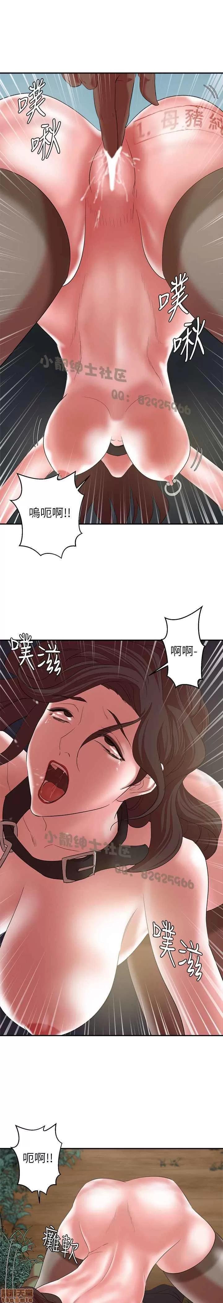 母猪养成计画 母猪养成计画 4 第1页