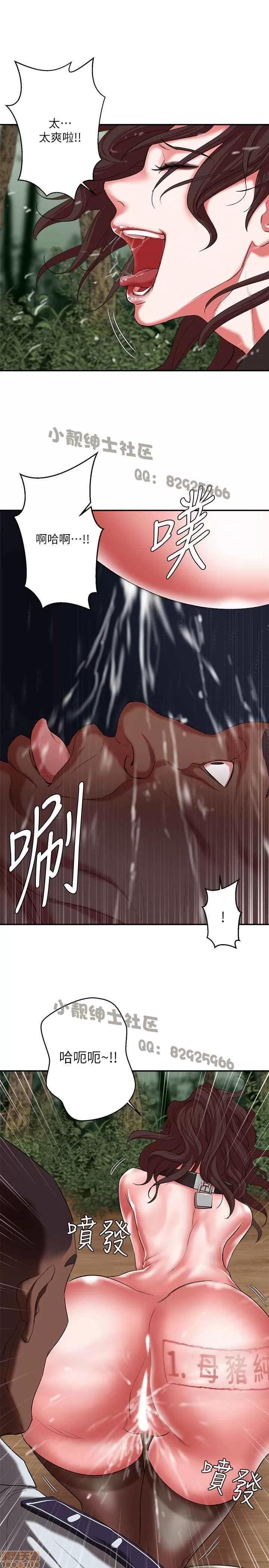 母猪养成计画 母猪养成计画 4 第17页