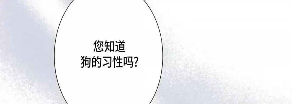 完美无缺的虏获 完美无缺的虏获-第 25 话 第19页