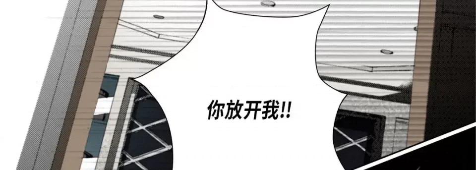 完美无缺的虏获 完美无缺的虏获-第 38 话 第146页