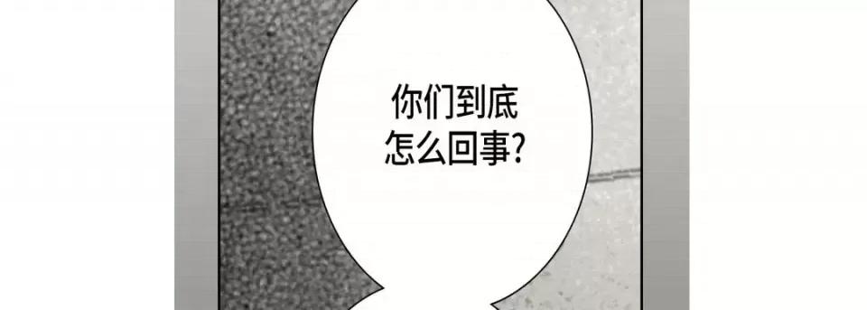 完美无缺的虏获 完美无缺的虏获-第 41 话 第106页