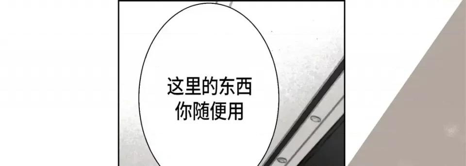 完美无缺的虏获 完美无缺的虏获-第 52 话 第13页