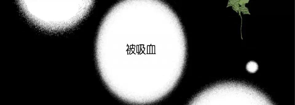 完美无缺的虏获 完美无缺的虏获-第 79 话 第58页