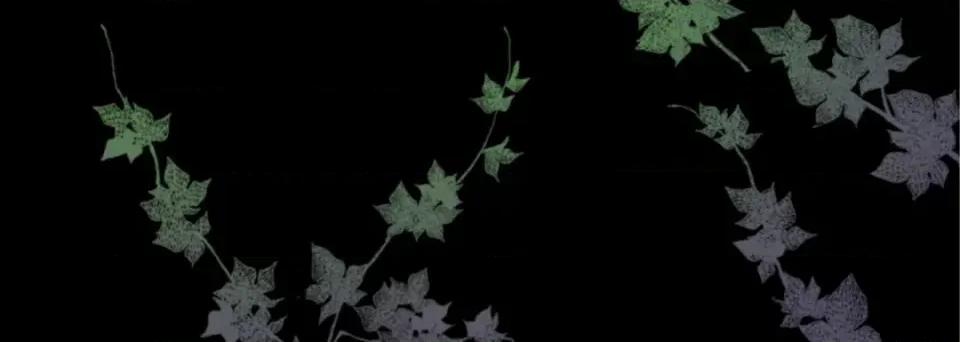 完美无缺的虏获 完美无缺的虏获-第 79 话 第64页