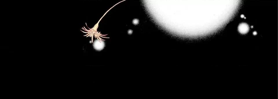 完美无缺的虏获 完美无缺的虏获-第 81 话 第48页