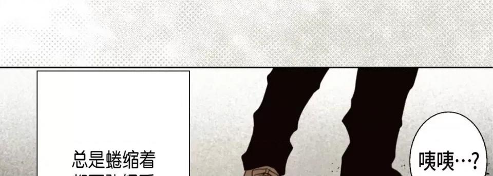 完美无缺的虏获 完美无缺的虏获-完美无缺的虏获 第126话 第186页