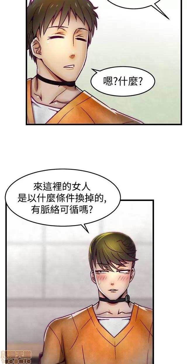 啪啪啪所 啪啪啪调教所 第285页