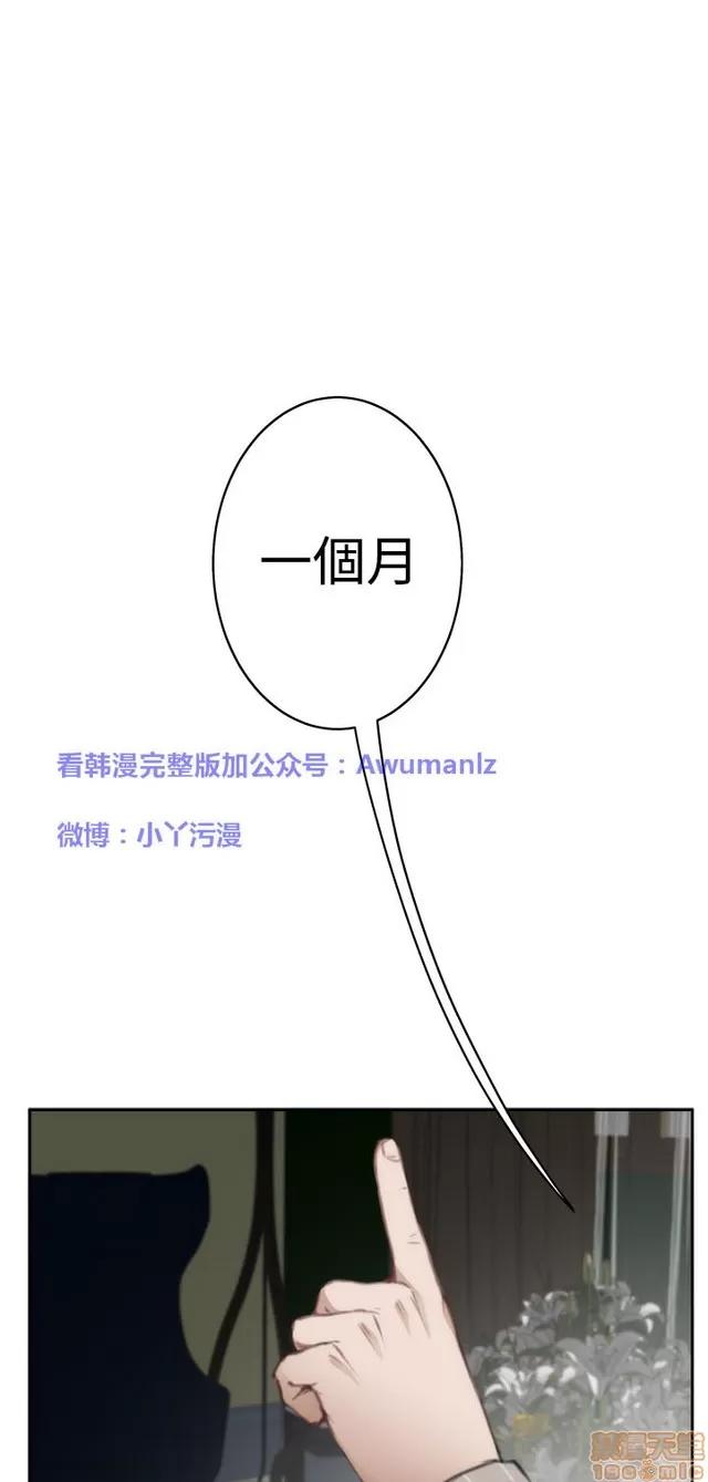 爱上男闺蜜 H-Mate 7 第248页
